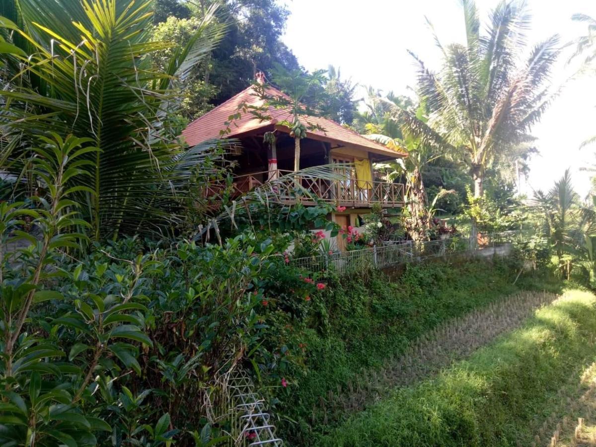Babahan Farmstay Selemadeg Exteriér fotografie