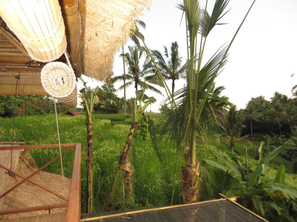 Babahan Farmstay Selemadeg Exteriér fotografie