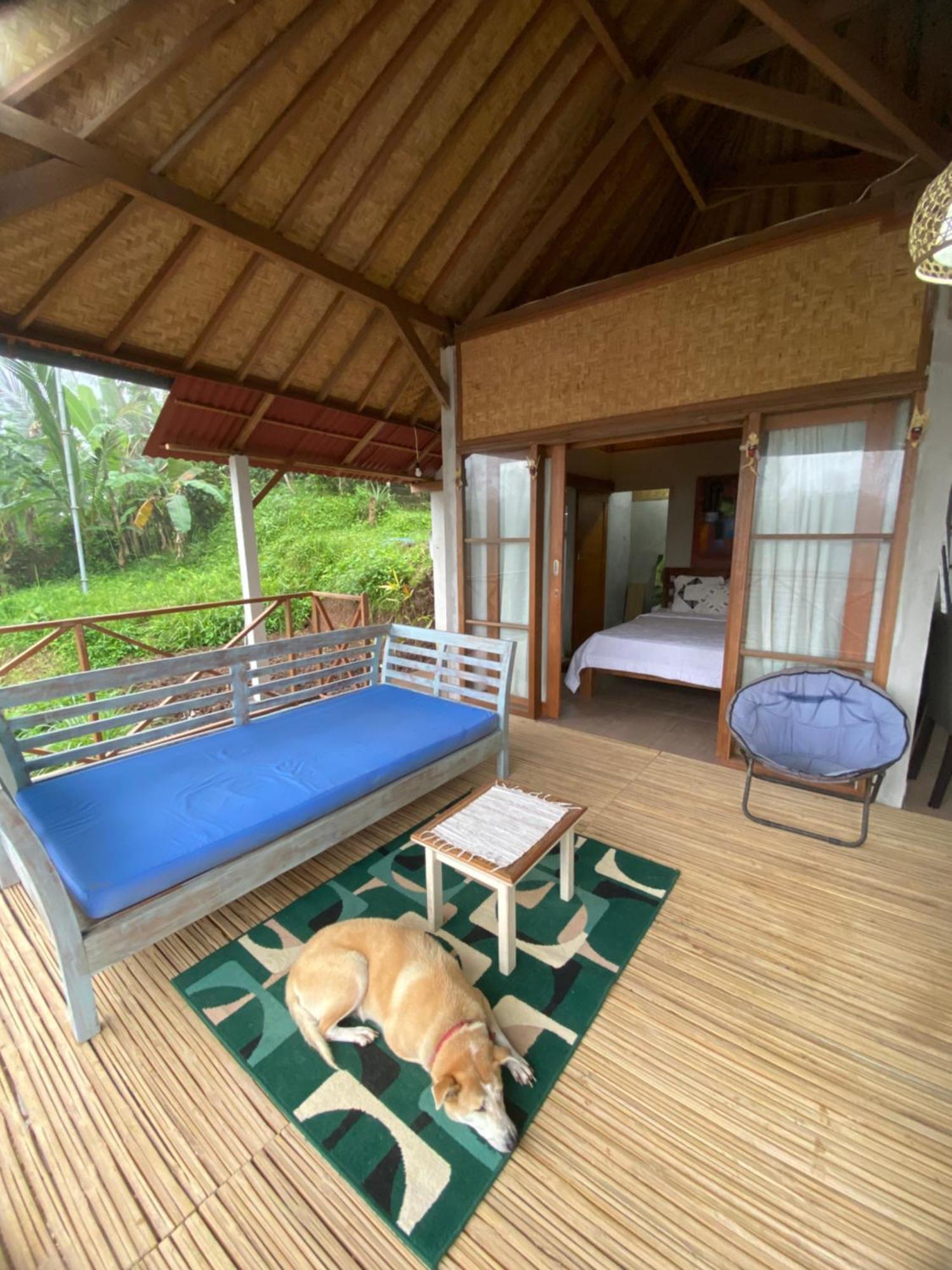 Babahan Farmstay Selemadeg Exteriér fotografie